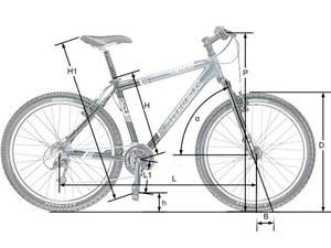 Как правильно выбрать размер рамы велосипеда?