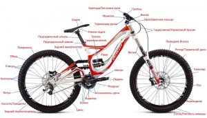 Подробно о схеме и об устройство велосипеда — из чего состоит велосипед