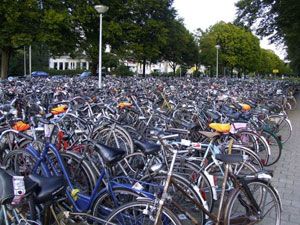 Виды велосипедов и их назначение